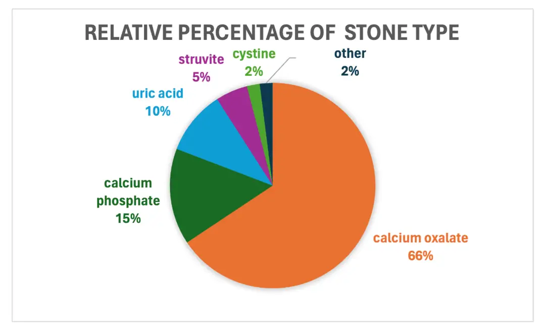 Calcium Oxalate Stones - The Most Common Kidney Stone Type