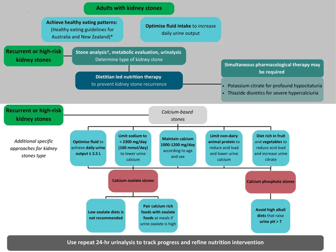 Comprehensive Strategies for Kidney Stone Recurrence Prevention