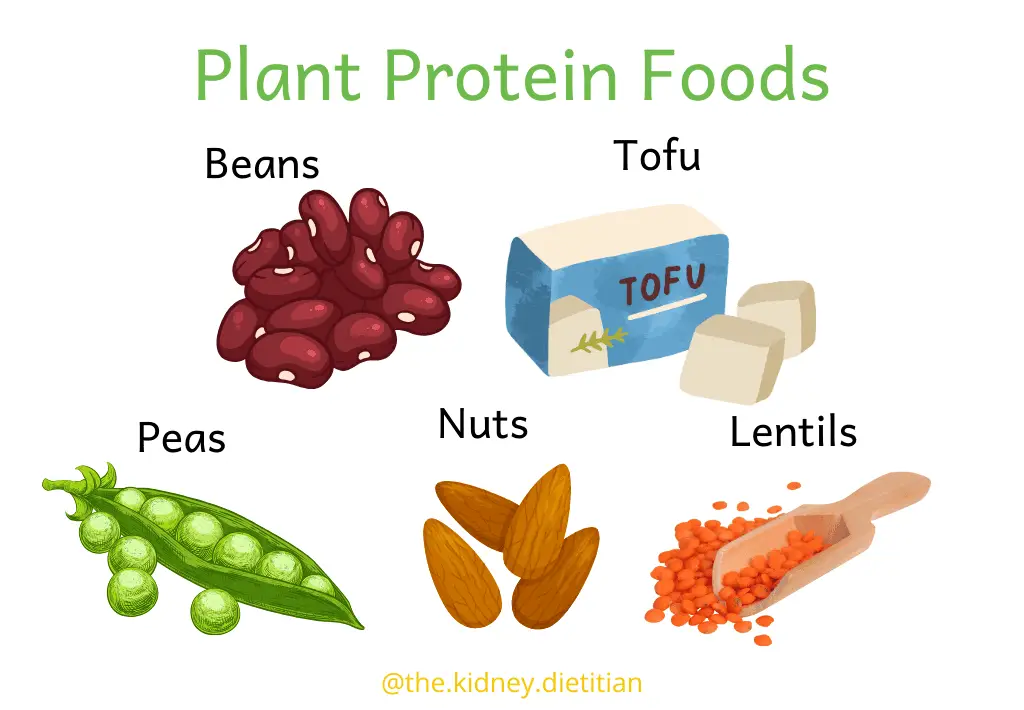 Protein and Kidney Stones: Finding the Right Balance