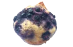 Muffin (commercial, with blueberries)