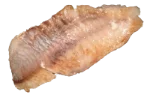 Ocean perch