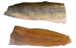 Brook trout