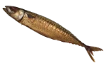 Mackerel (smoked)