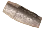 Soused herring