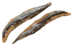 Anchovy