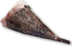 Monkfish