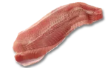 Sheatfish