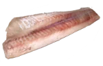 Alaska pollock