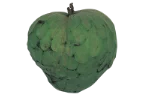 Cherimoya