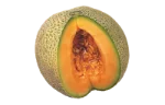 Cantaloupe