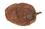 Sultana