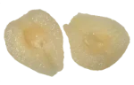 Pear (canned)