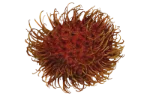 Rambutan