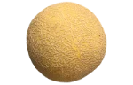 Galia melon