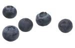 Blueberries