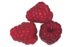 Raspberries