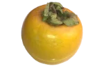 Persimmon (Kaki)