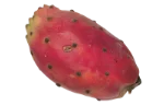 Prickly pear