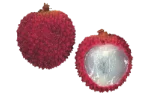 Litchi
