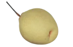 Nashi pear