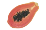 Papaya