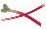 Rhubarb