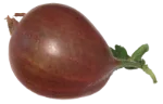 Gooseberry