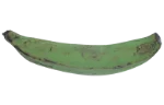 Plantain