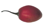 Tamarillo