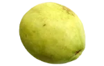 Guava