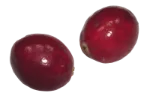 Cranberries