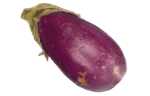 Eggplant