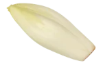 Chicory