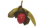 Mixed pickles
