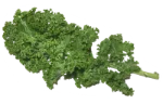 Kale