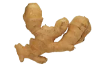 Ginger root