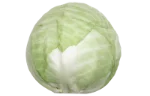 Cabbage