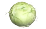 Kohlrabi