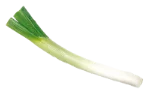 Leek