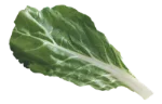 Chard