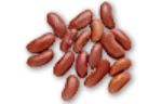 Kidney beans (cooked)