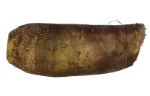 Taro (cooked)