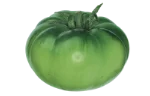 Tomatoes (green)