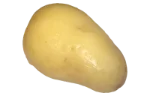 Potatoes (cooked)