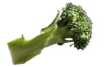 Broccoli (cooked)