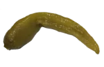 Chili peppers (pickled)