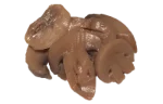 Mushrooms (canned)