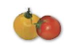 Cherry tomatoes