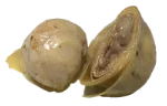 Artichoke heart (canned)