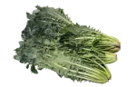 Dandelion greens